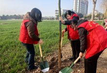 绿满家园,巾帼先行——长江镇平南社区巾帼志愿服务者在植树节大放异彩-雉水网