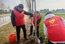 绿色行动,红色传承——如皋市长江平南社区退役军人共筑绿色家园-雉水网