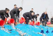 复绿于行显担当 守责于心护江海——如皋开展生态环境损害赔偿集中修复活动-雉水网