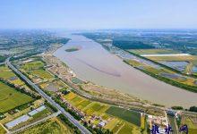 桃李如歌绘皋城 她与春风共芳华-雉水网