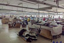 如皋市老科协长江分会组织会员进企业 助力企业摆脱关税困扰-雉水网