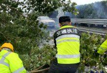 江苏省交通综合执法局沿海支队：“汛”速响应，逆“风”而上-雉水网
