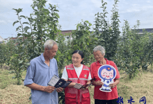 如皋市城北街道平园池村：果园话网安，共筑防护墙-雉水网