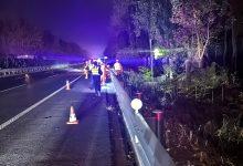 羊群误入高速路,快速处置保畅通-雉水网