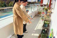 深耕教育现场 专业指导助成长——如皋市业务园长进园指导活动-雉水网