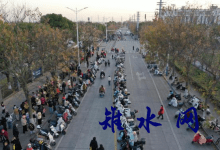 筑牢平安放学路，共绘制秩序同心圆——如皋市港城实验小学联合多方力量维护散学交通-雉水网