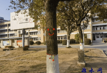 冬日护绿传温情 实践育人润无声——如皋市港城实验小学开展树木冬日防护行动-雉水网