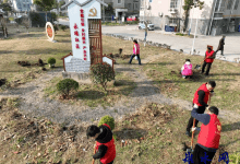 多方联动聚合力 如皋长江永福社区植树添绿正当时-雉水网