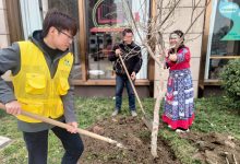 深耕网格“责任田”，共植民族团结树——如皋长江平南社区网格员携手少数民族群众开展植树节主题活动-雉水网