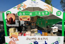 传统庙会“烟火”旺 助农富民“掘金”忙-雉水网