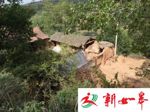 （杨改兰的家在山脚下）