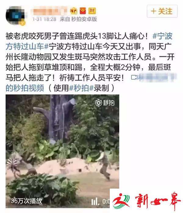 广州长隆今日惊现斑马袭击饲养员？园方：事发上月