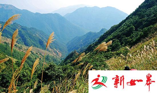 自然保护区频遭驴友闯 护林员无奈成