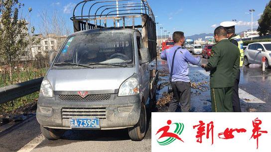 因为一个烟头 车上万只小鸡幼崽变