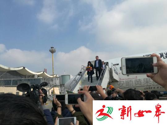 图为火海救人英雄王锋骨灰抵达南阳机场。 董飞 摄