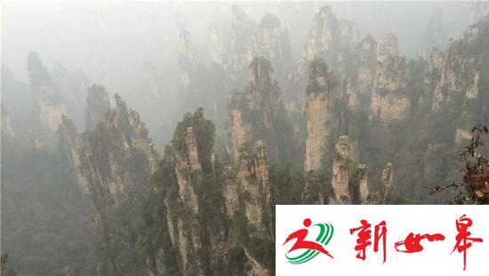 张家界一游客不慎从栅道坠落 被困在半山腰