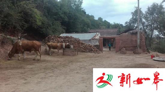 甘肃母亲砍杀4子女事件:亲属称这两年没领低保