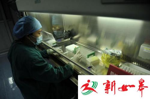 资料图：医务人员在“阳性标本处理区”进行工作。<a target=