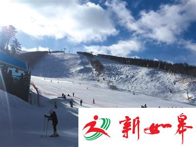 调查:滑雪伤亡者超9成是“新手” 超7成伤者致残