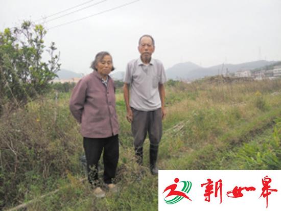 8旬老人7年坚持打3份工 替病逝儿子还债46万