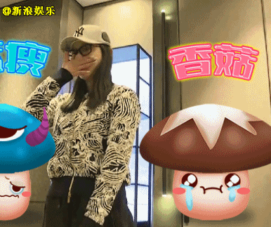 发布会现场直击