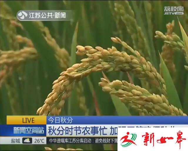 秋分虽至天未凉 暖湿气流杀&ldquo;回马枪&rdquo;