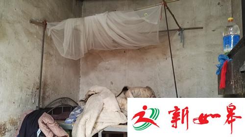 湖北18人遇难车祸幸存者:每天4点起床进城打工