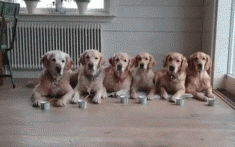 钱包已空、不敢上秤 你的春节假期余额已不足