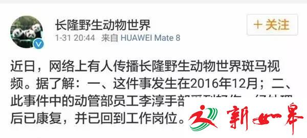 广州长隆今日惊现斑马袭击饲养员？园方：事发上月