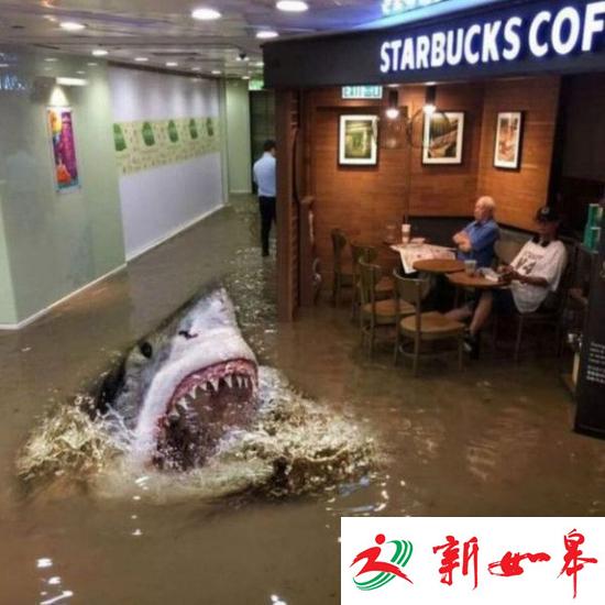 老伯洪水中淡定喝咖啡成网红 网友改图被