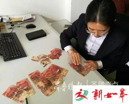 省吃俭用攒两万，泰安老太往土里埋！抢救回来一百块