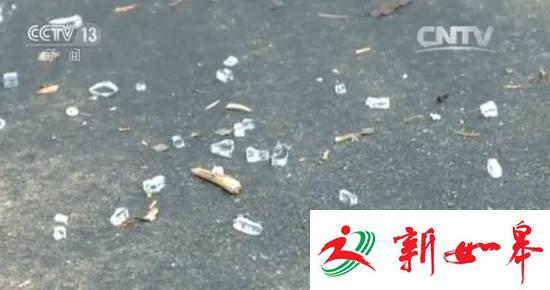 持枪战劫匪华裔女子:报警电话没通 练过一次枪