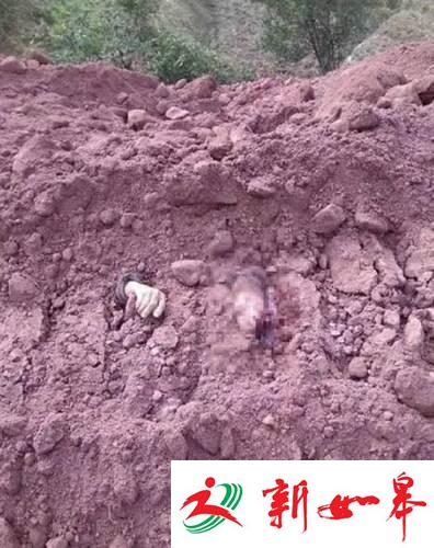 微信截图_20161208192058_tn