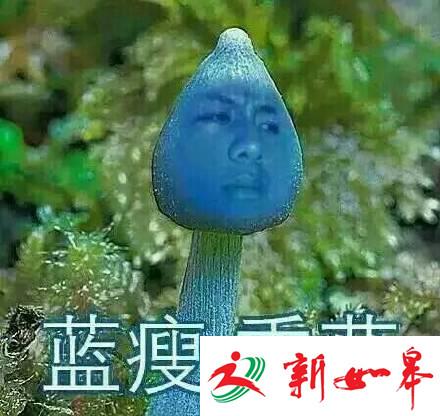 蓝瘦香菇什么意思？为何刷爆朋友圈