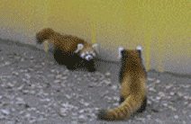 男子担心在朋友圈被遗忘 一年发六千元