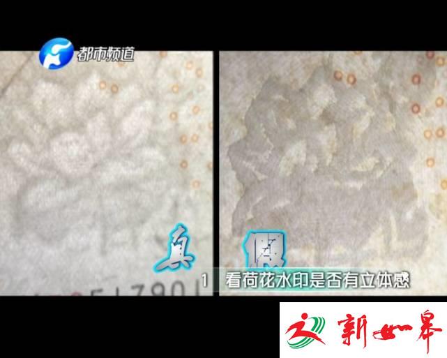 记者卧底数月 真实记录疯狂假币制造全过程