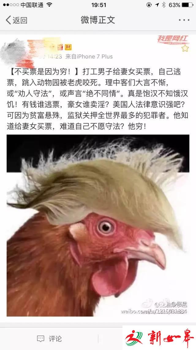 学者：逃票去看老虎，是因为穷吗？ 