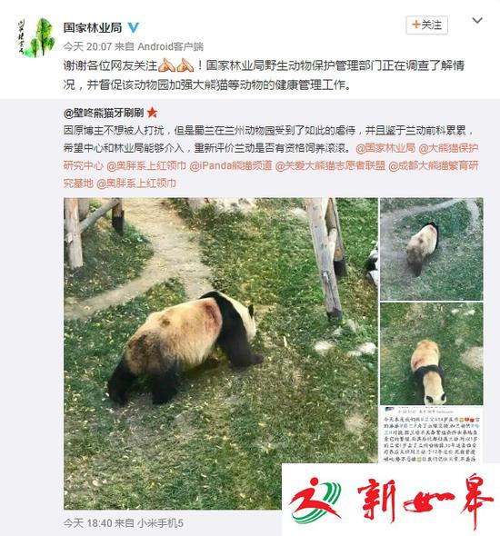 兰州动物园被曝虐待熊猫 林业局回应
