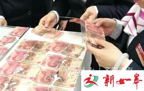 省吃俭用攒两万，泰安老太往土里埋！抢救回来一百块