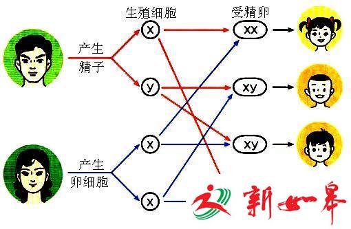 女子22岁从没来过