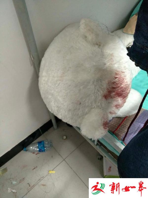 两女生寝室遭殴打 打人同学晒图:已对警车免疫