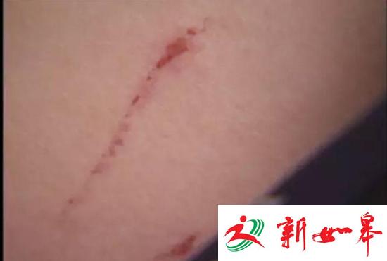 艳福来了躲不开！广州男子被女邻居强当