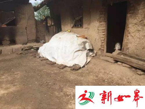 （另一间危房里面养猪）