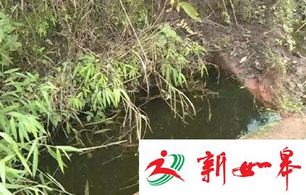 四川3岁姐姐和1岁弟弟失踪 尸体在粪池发现