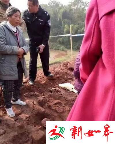 微信截图_20161208192112_tn