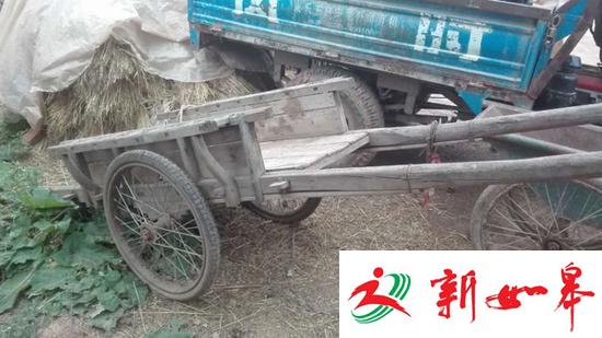 甘肃母亲砍杀4子女事件:亲属称这两年没领低保