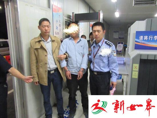 上海迪士尼频遭采花贼 一夫妻割三百斤菊花被刑拘