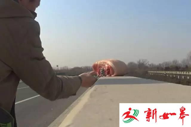 威力强！朋友圈黑花炮两根炸烂5斤肉