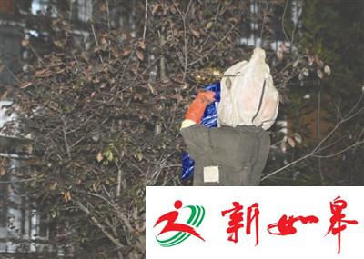 成都75岁老太遭马蜂袭击 当场死亡面部发黑