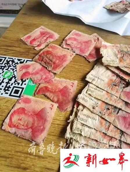 省吃俭用攒两万，泰安老太往土里埋！抢救回来一百块